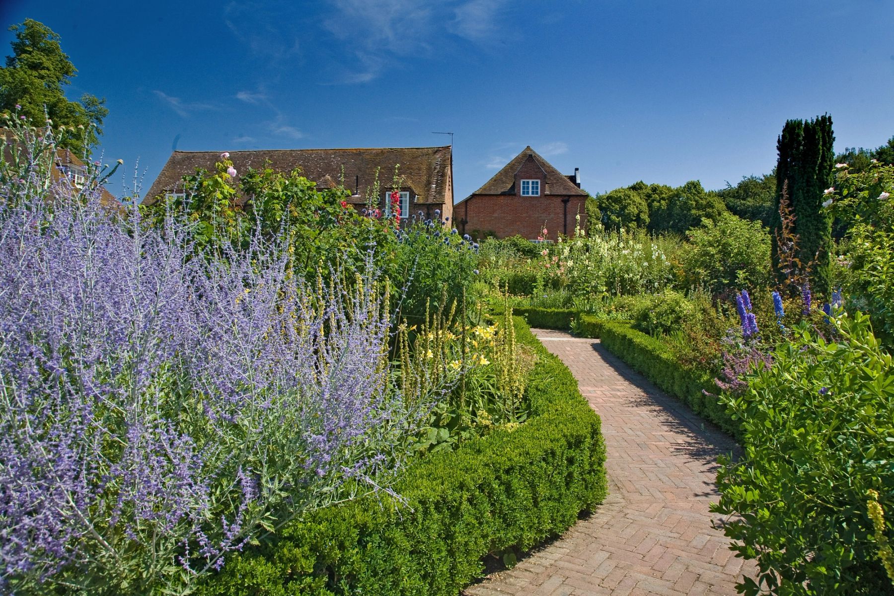 Lavender Borders, Maidstone, Kent