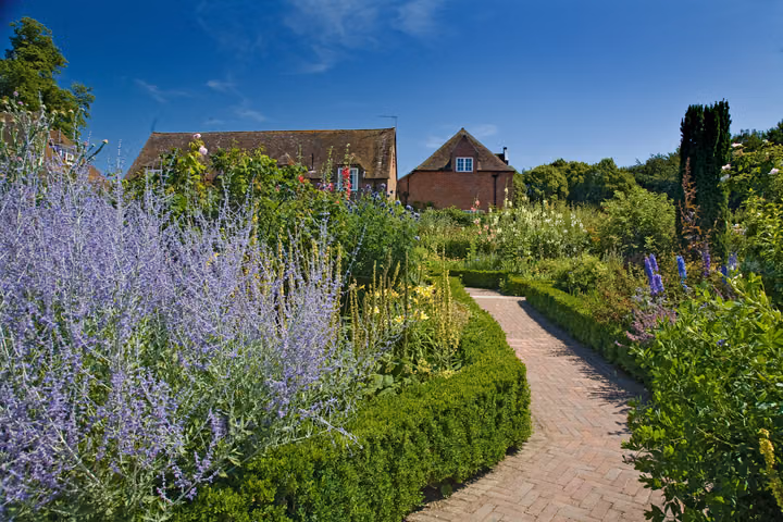 Lavender Borders
