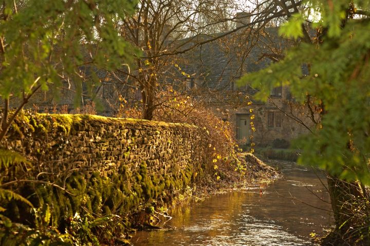 The Mossy Wall