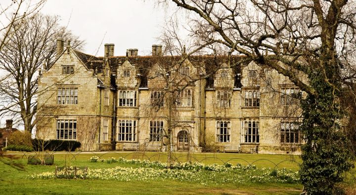 The Mansion through Bare Trees