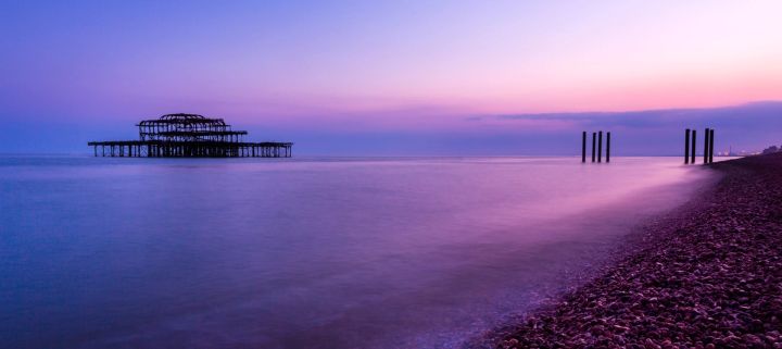 Violet Shoreline
