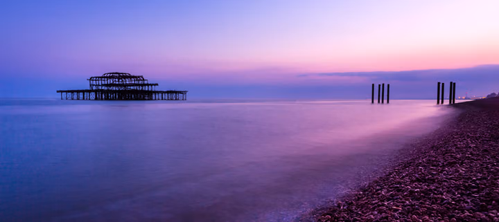 Violet Shoreline