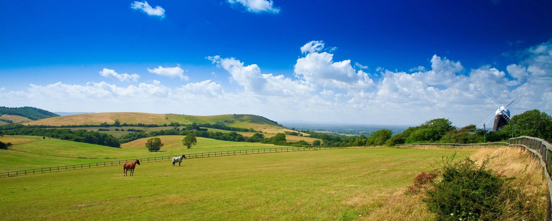 Horses below the Windmills, Clayton