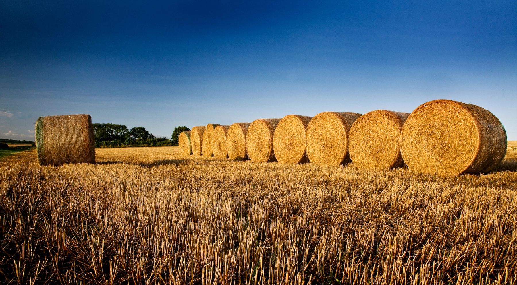 A Row of Bales, Yorkshire