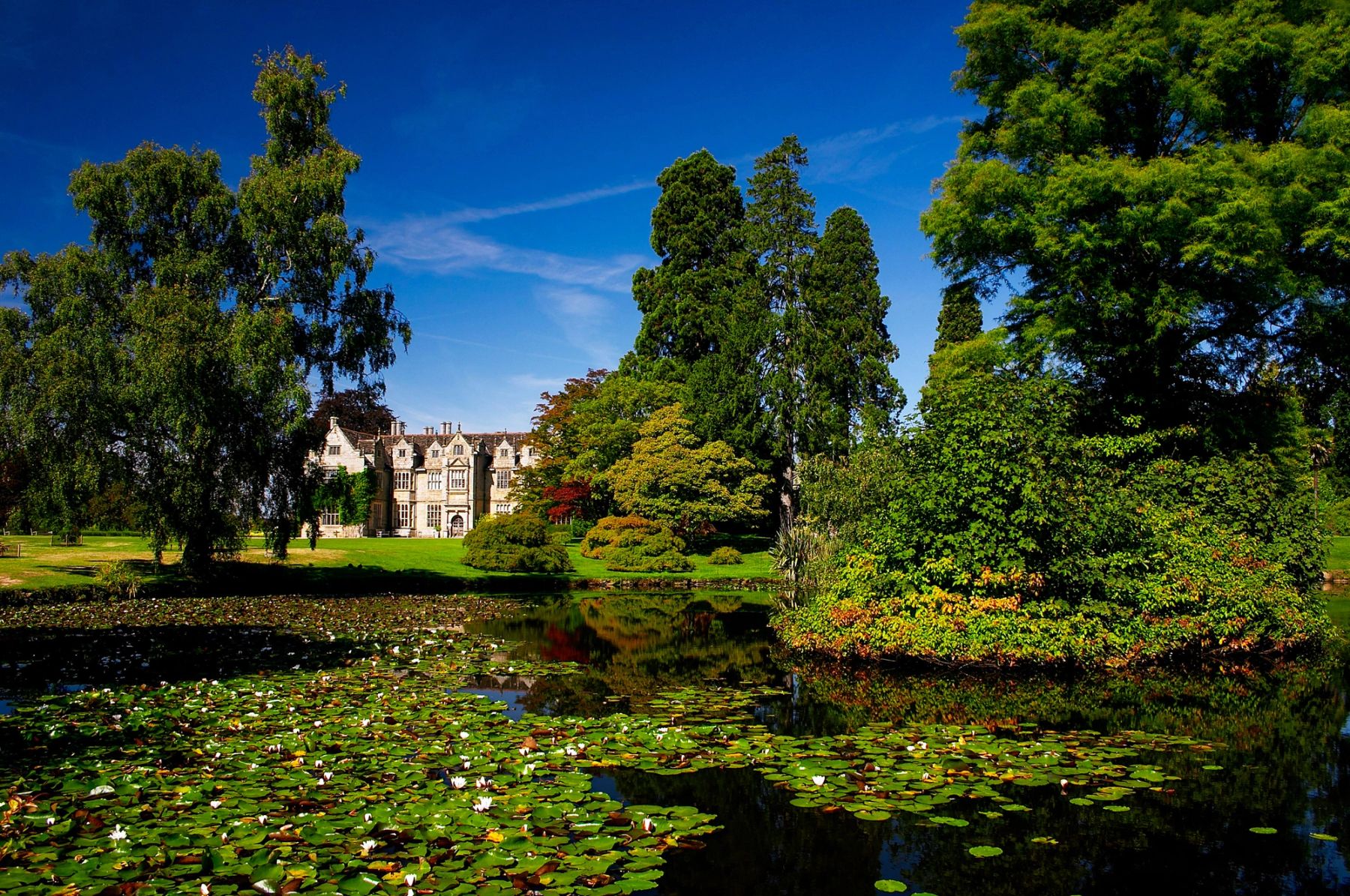 The Lily Lake, Wakehurst, Ardingly