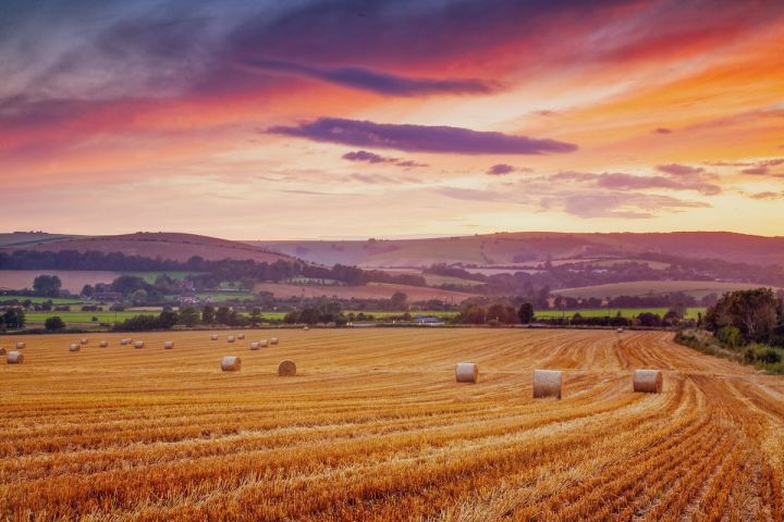 Harvest Sunset