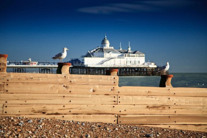 Gulls and the Pier