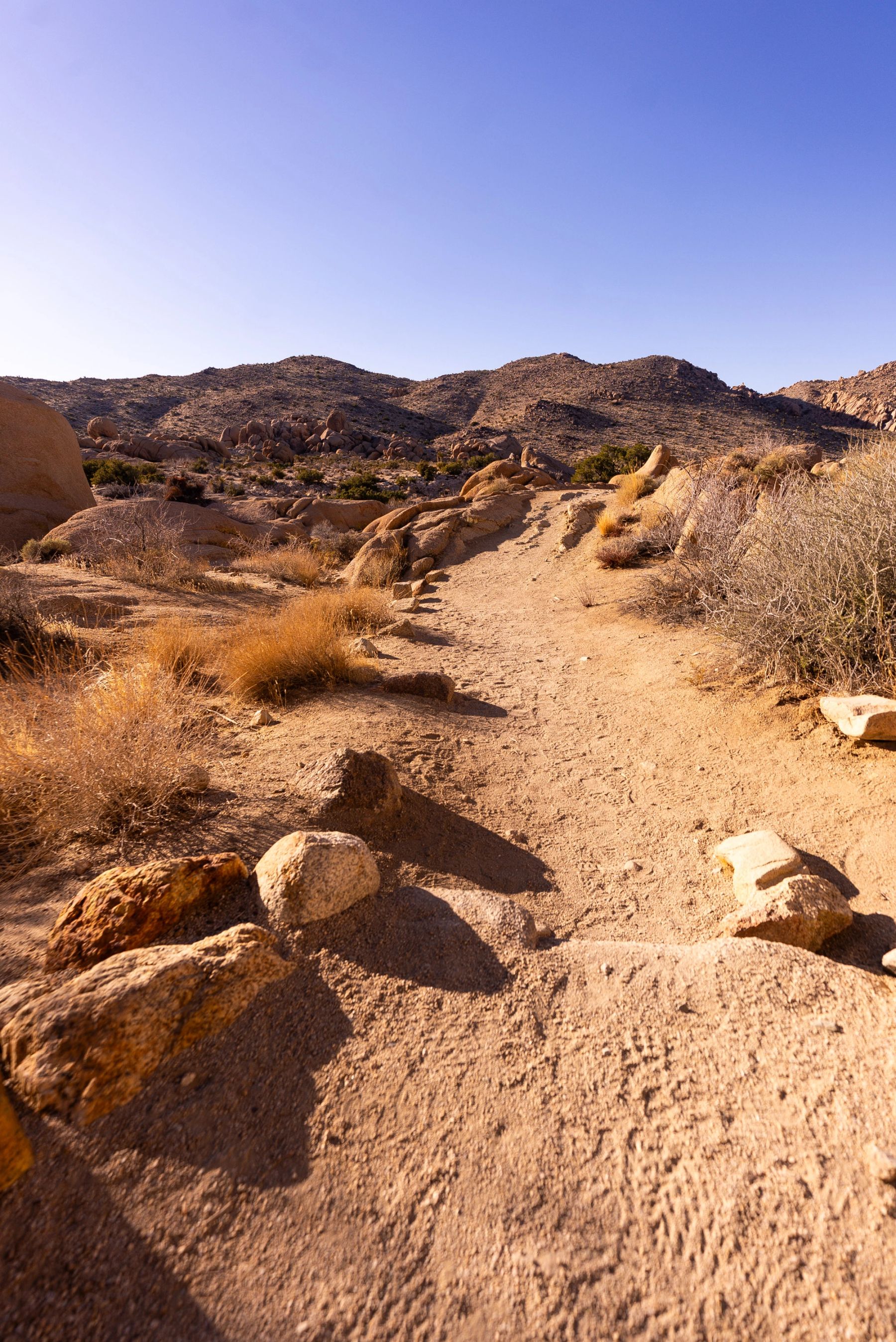 The Sandy Trail, Joshua Tree, California