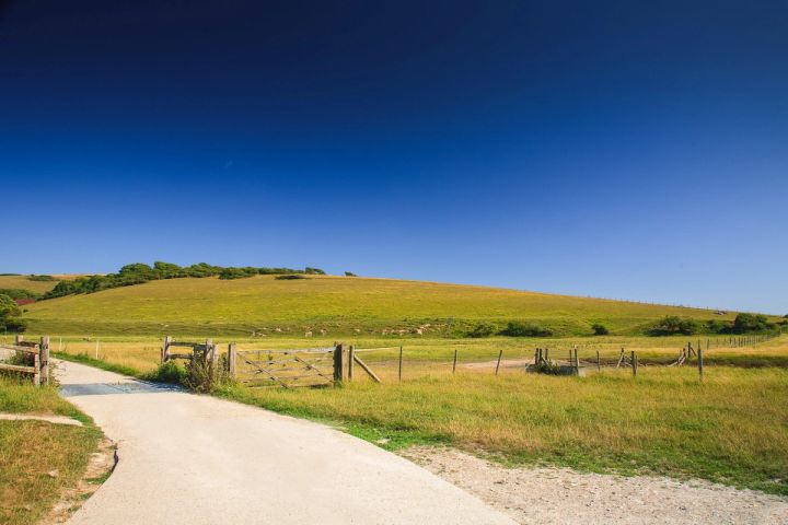 The Track to the Coast