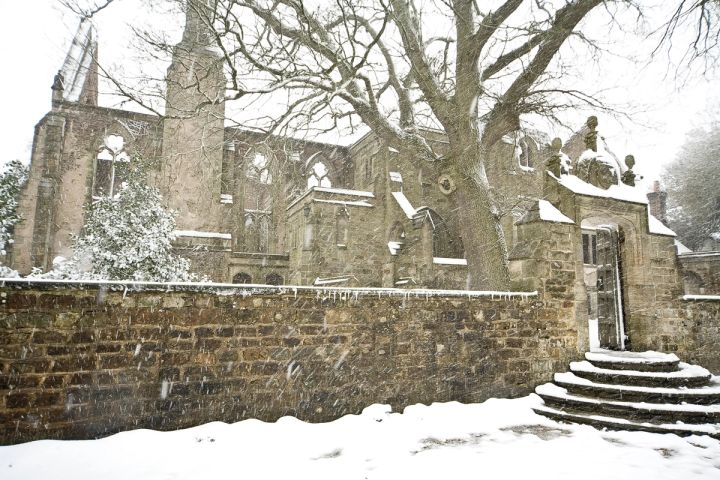 Winter at the Ruins