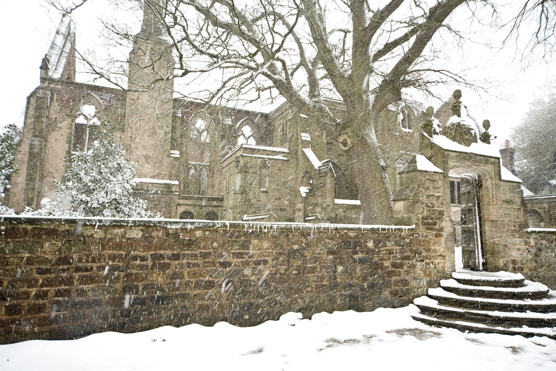 Winter at the Ruins, Handcross, West Sussex