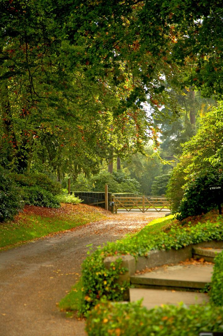 Woodland Drive