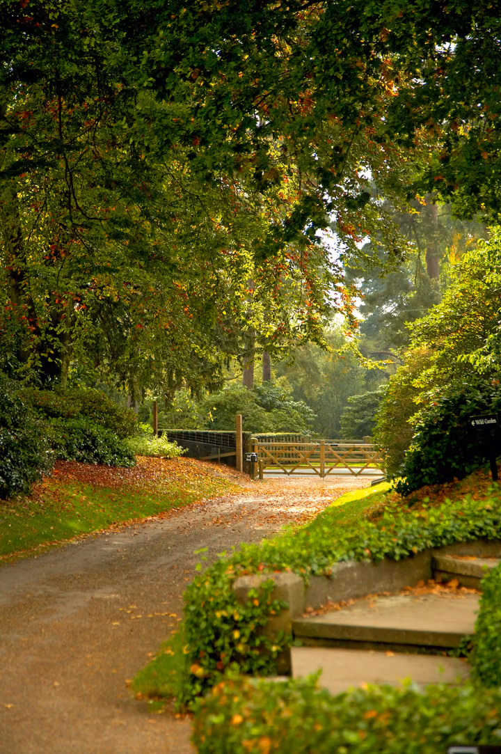 Woodland Drive