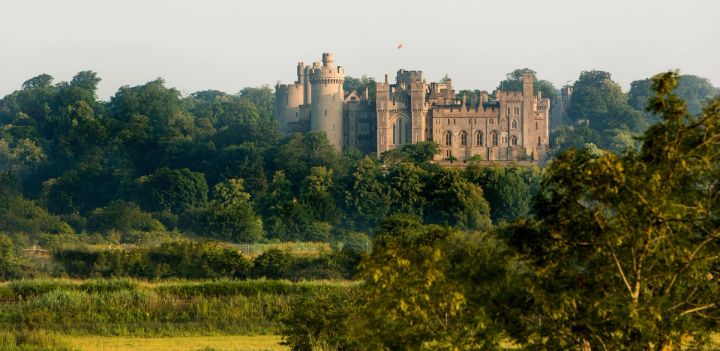Castle through the Trees