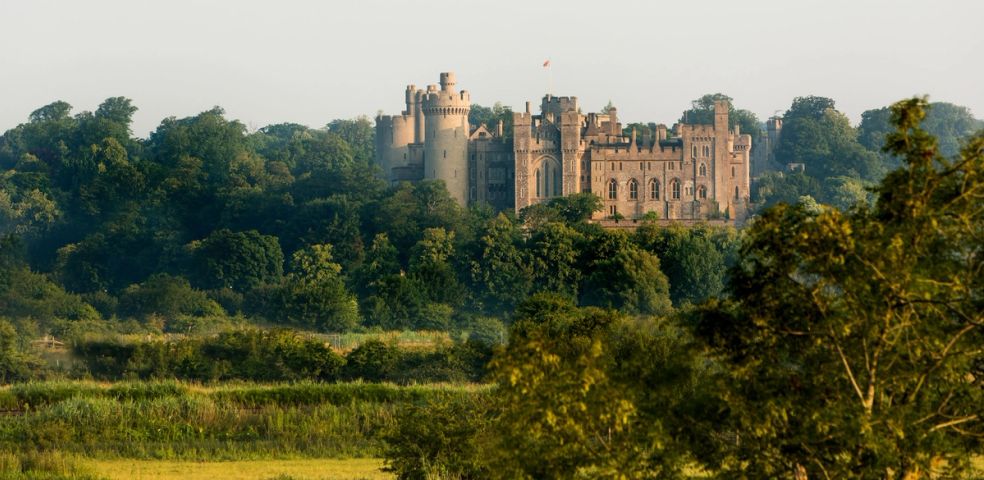 Castle through the Trees