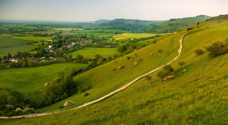 The Downland Path