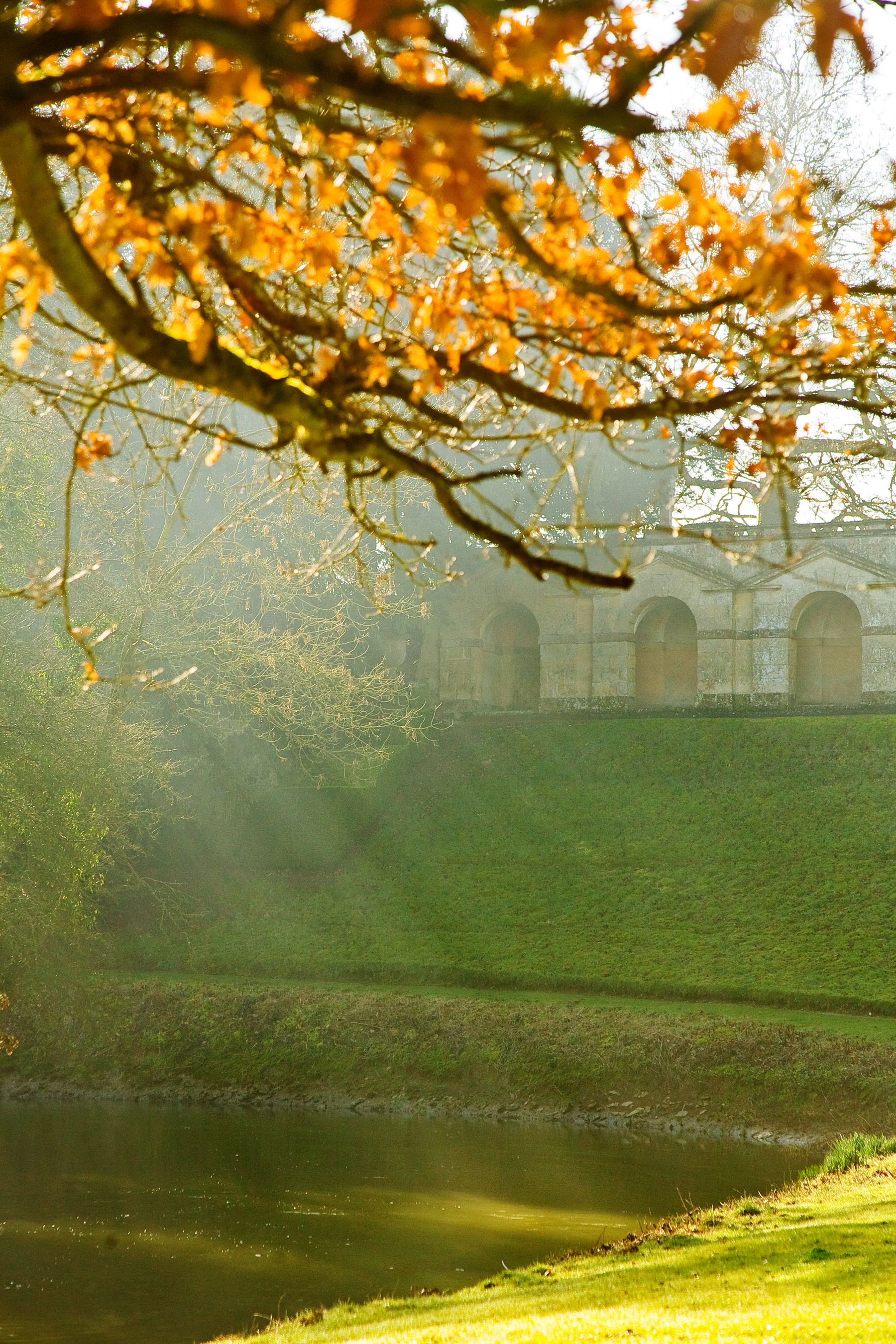 Golden Leaves by the Water, Bicester, Oxfordshire