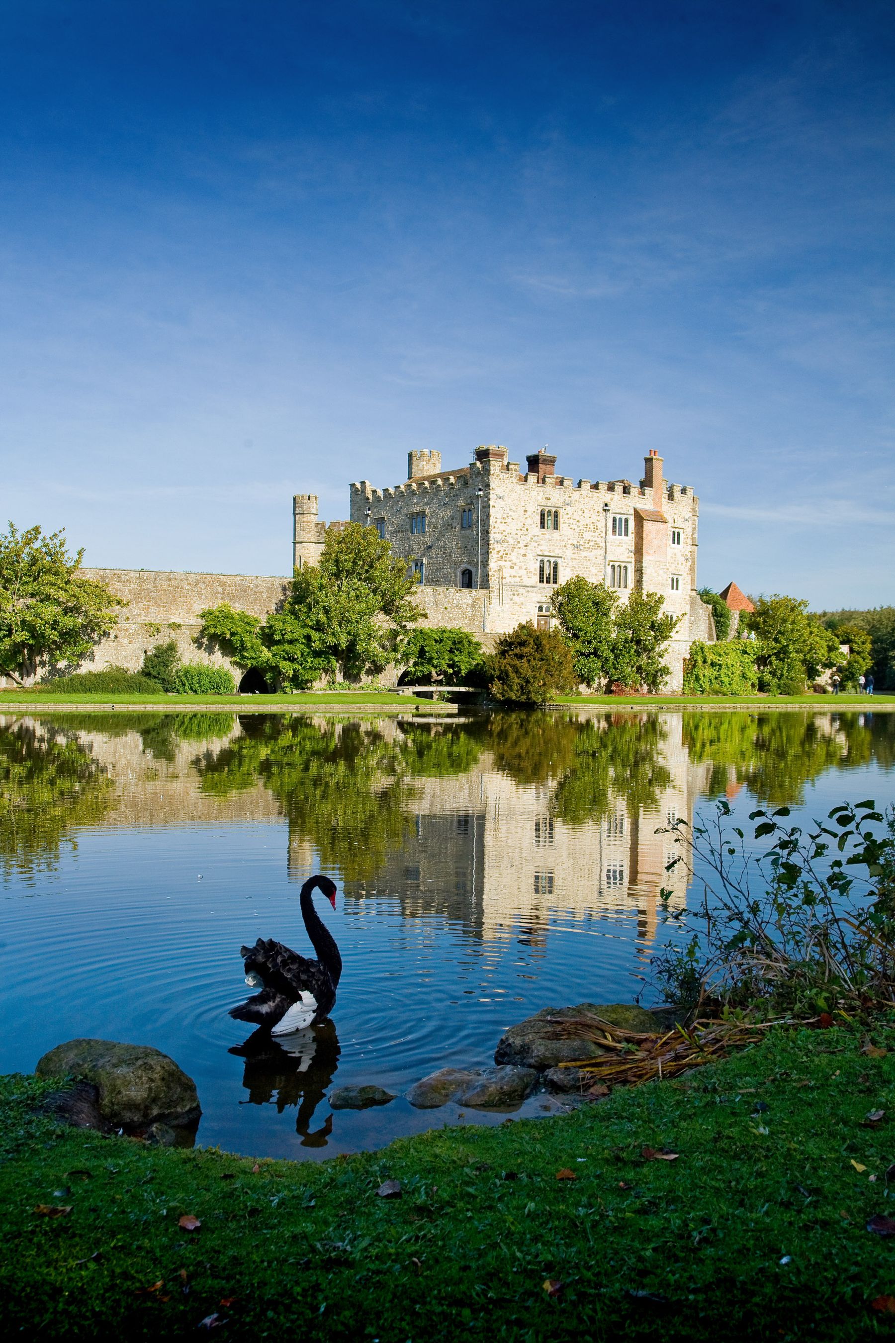 Black Swan and the Castle, Maidstone, Kent