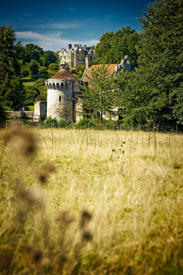 Across the Meadow