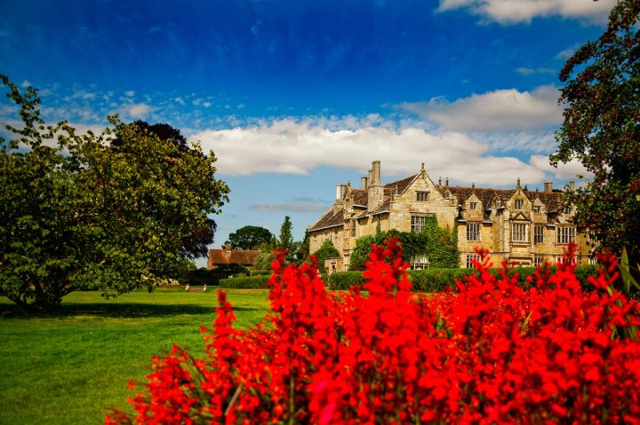 Mansion beyond the Flowers