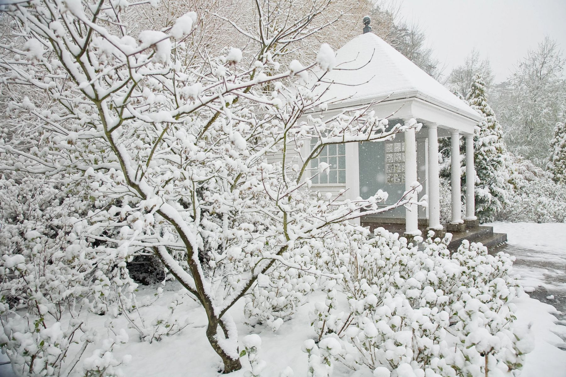 Summerhouse in the Snow, Handcross, West Sussex