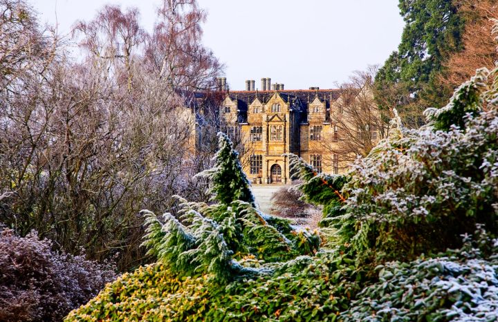 Snowy Shrubs and the Mansion