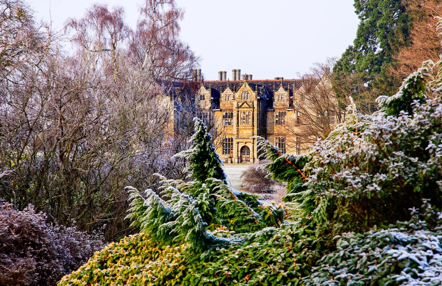 Snowy Shrubs and the Mansion, Wakehurst, Ardingly