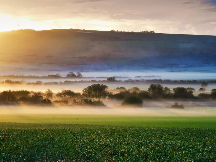 Mist in the Valley