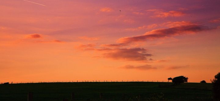 Downland Afterglow