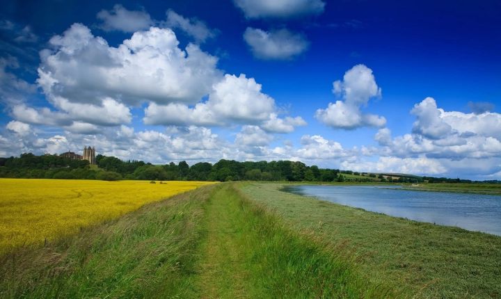 The Adur Riverbank