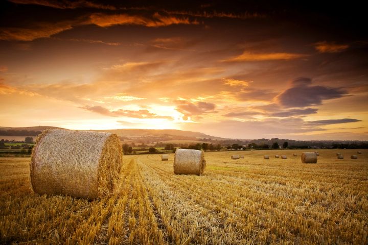 Hay Bales over Sussex
