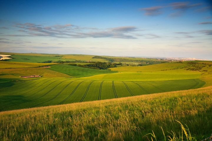 Spring on the Downs