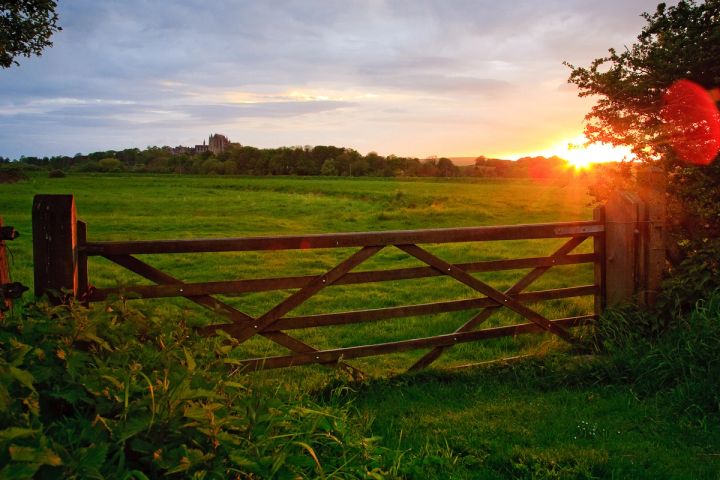 The Field Gate