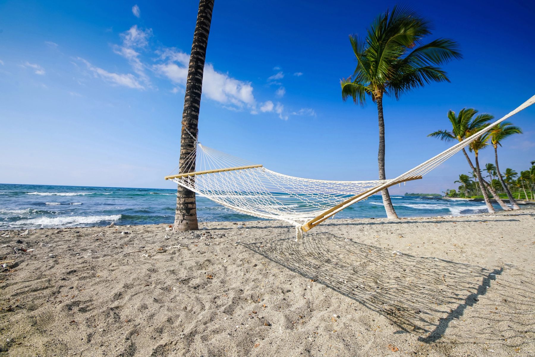 Hammock between the Palms, Maui, Hawaii