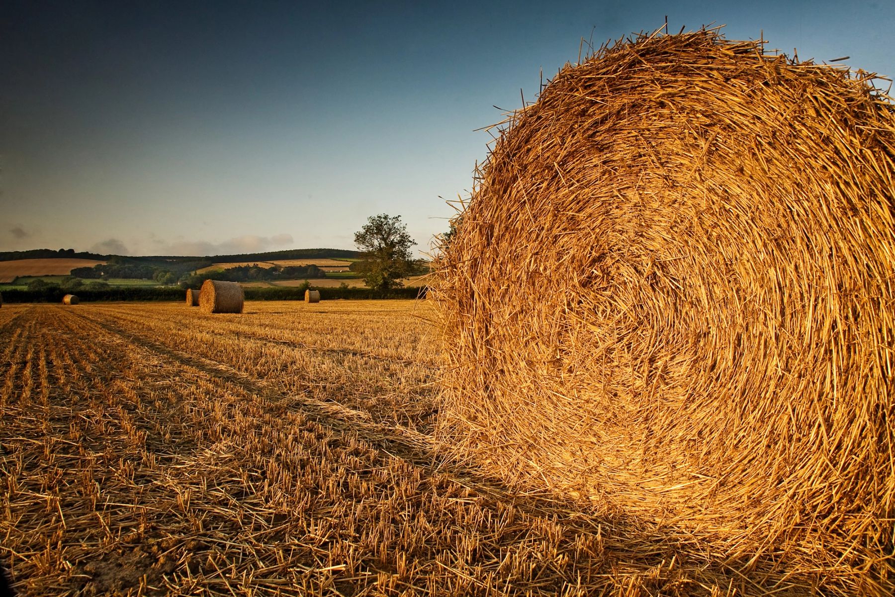 The Giant Bale, Yorkshire