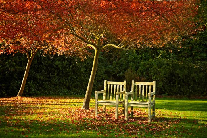 Two Benches in Autumn