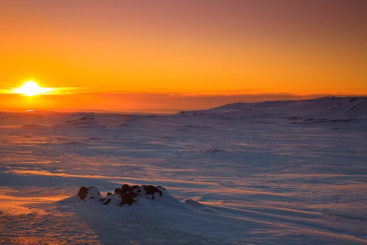 Sunset over the Snowfield