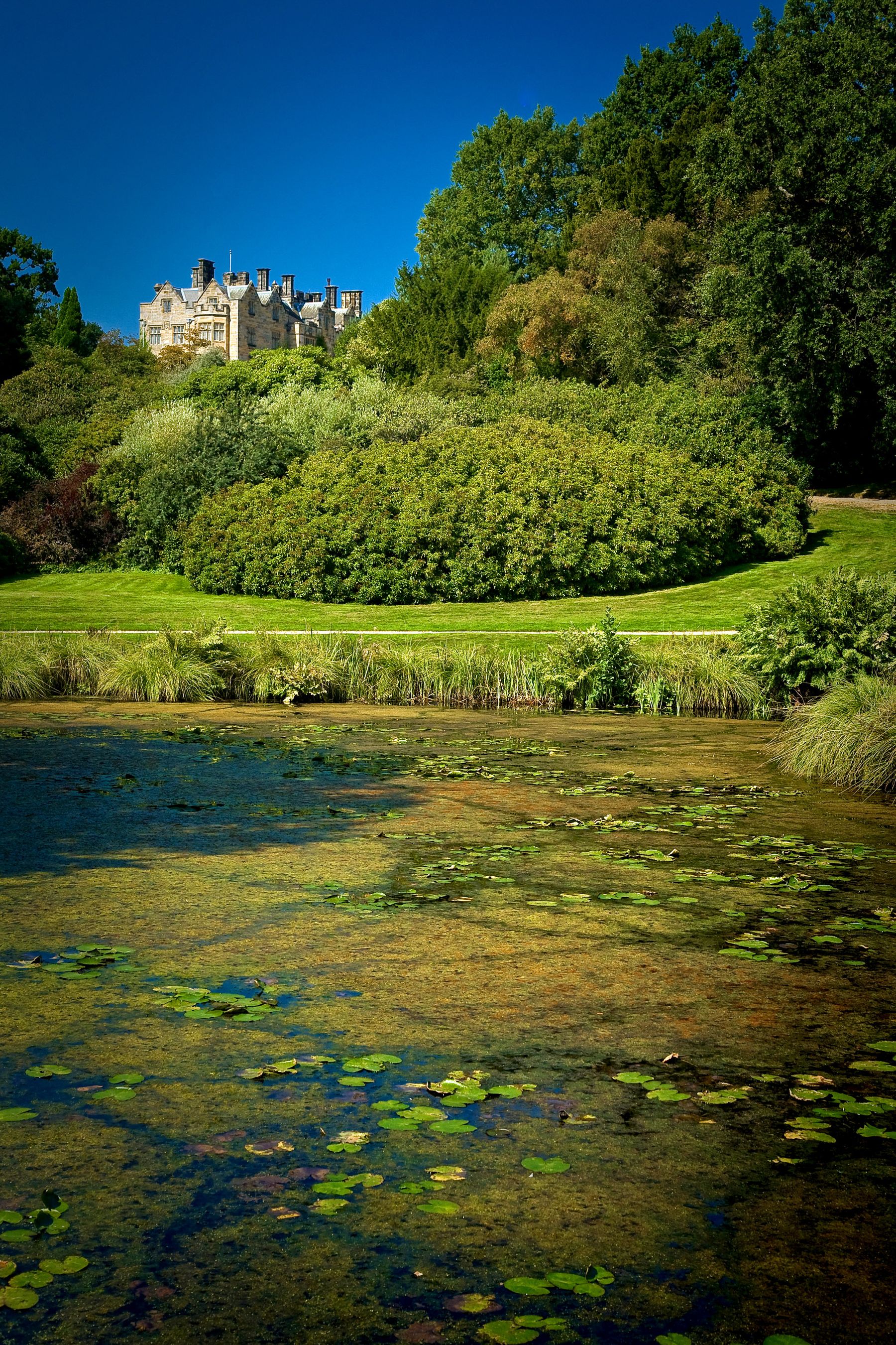 Lily Pond and the House, Lamberhurst, Kent