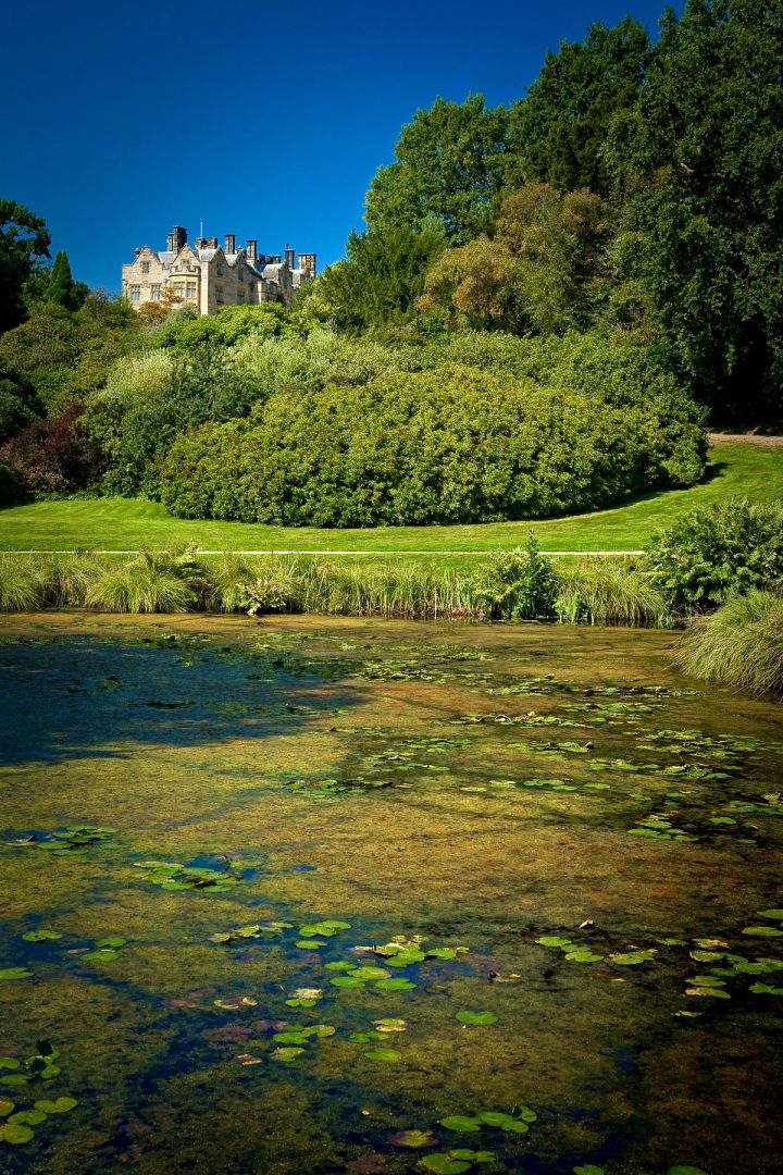Lily Pond and the House