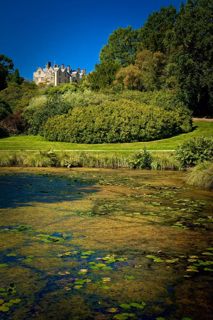 Lily Pond and the House