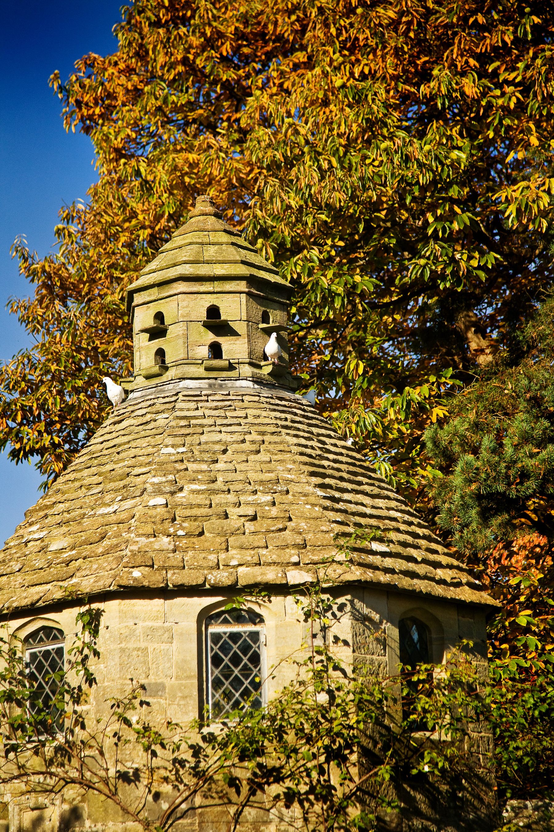 The Dovecote in Autumn, Handcross, West Sussex