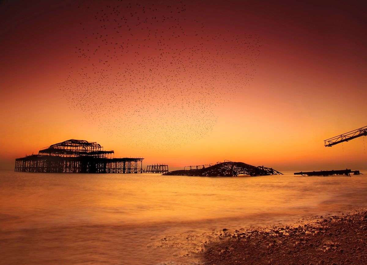 Starlings over the West Pier