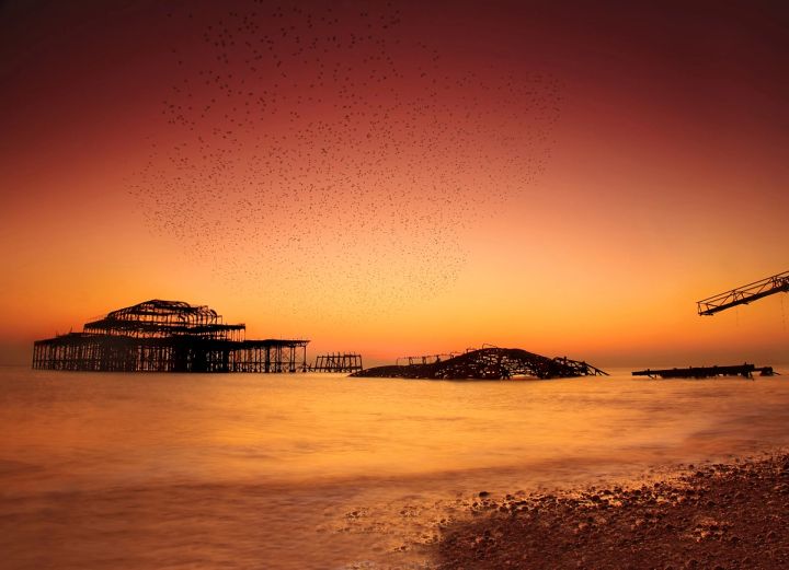 Starlings over the West Pier