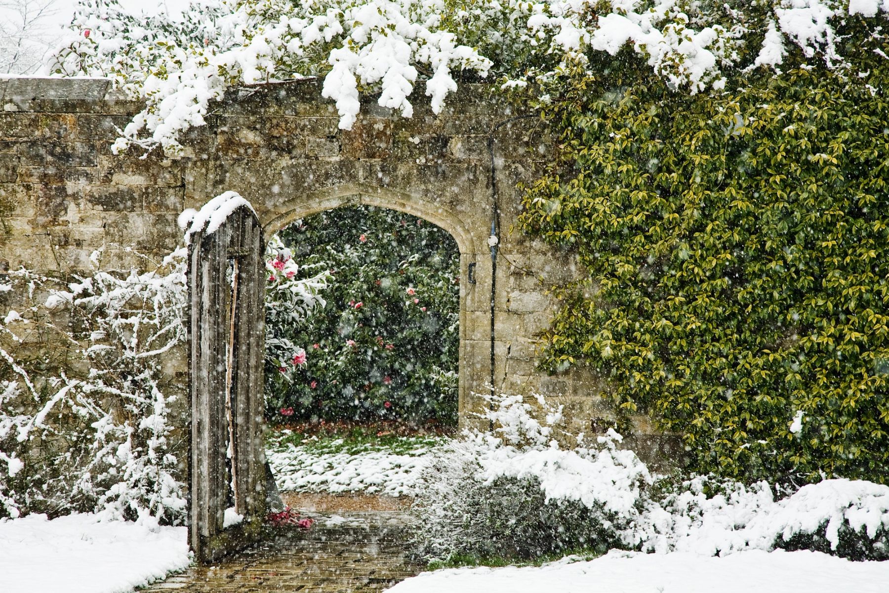 Snow on the Old Gate, Handcross, West Sussex