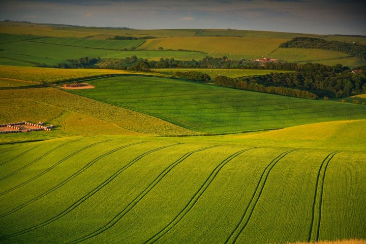 Downland Lines