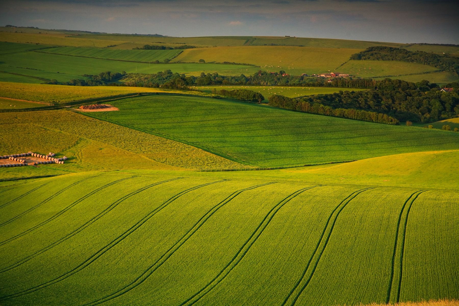Downland Lines, Lancing