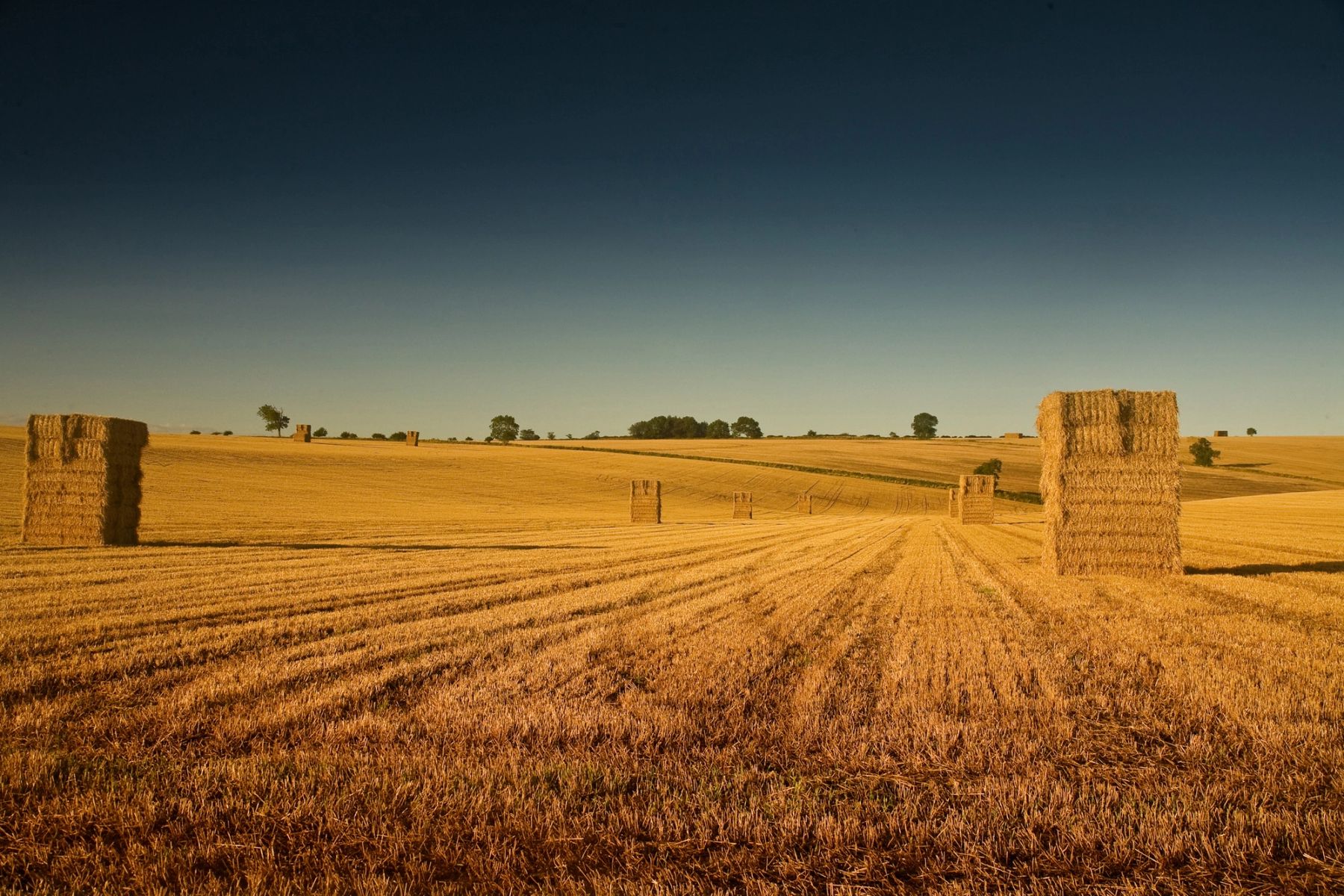 Stacked Bales, Yorkshire