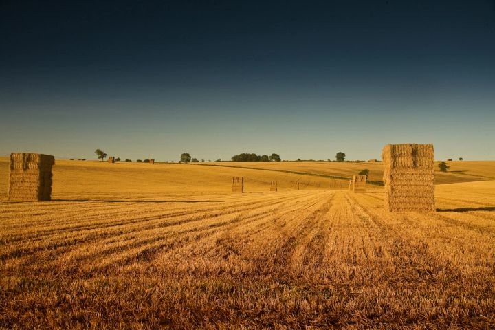 Stacked Bales