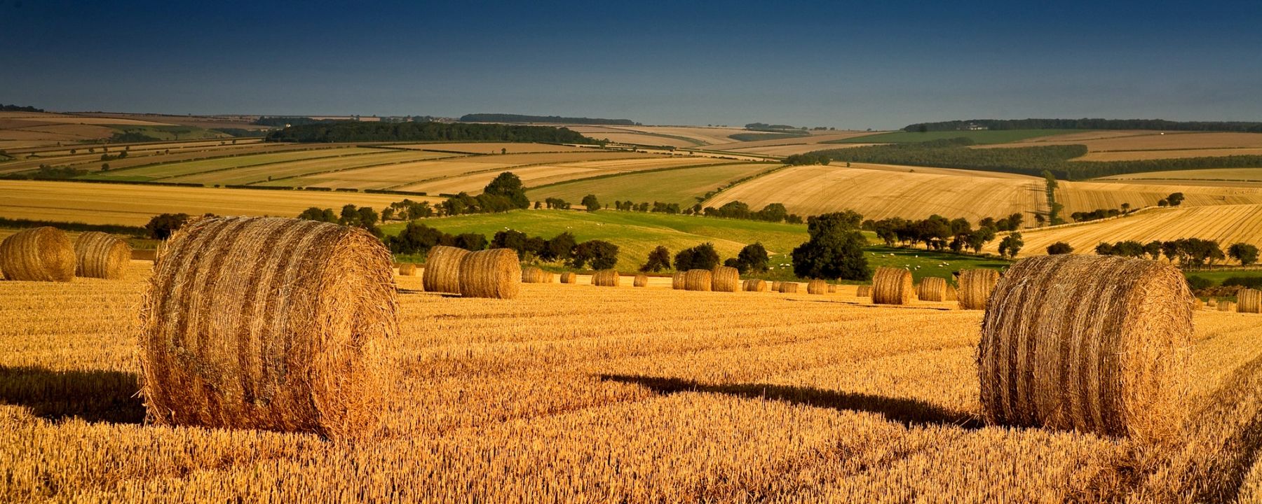 Bales on the Wolds, Yorkshire