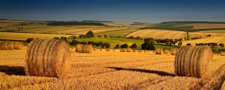 Bales on the Wolds